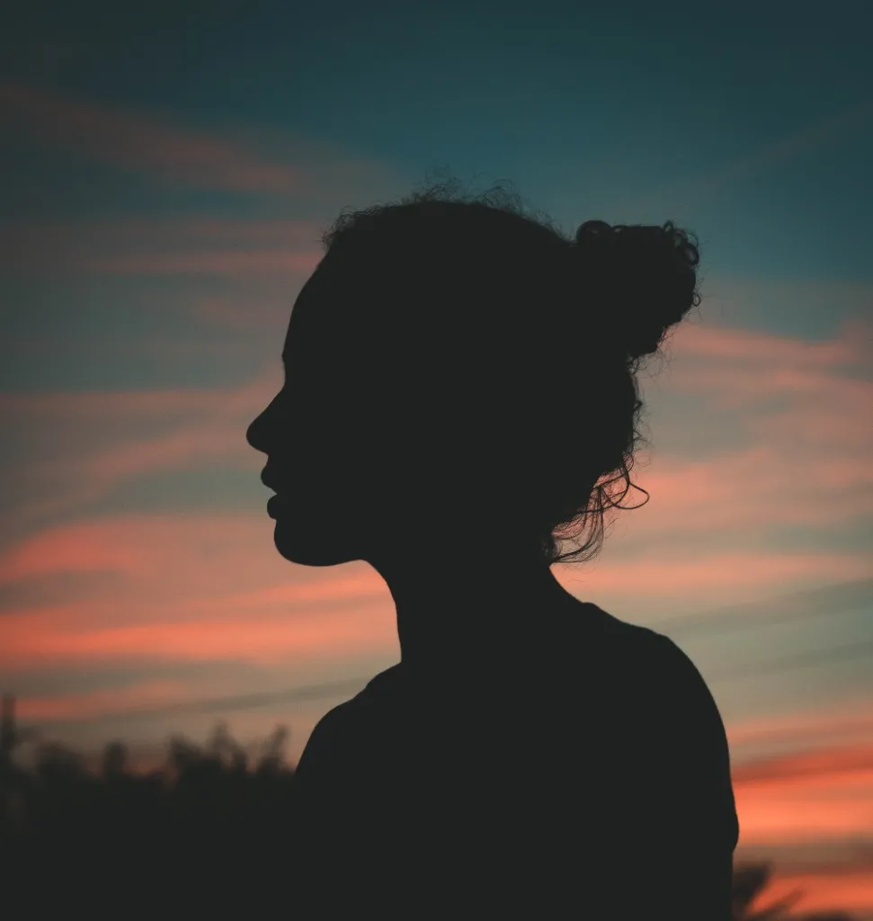 Silhouette of a person against a sunset sky