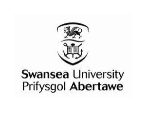 Swansea University