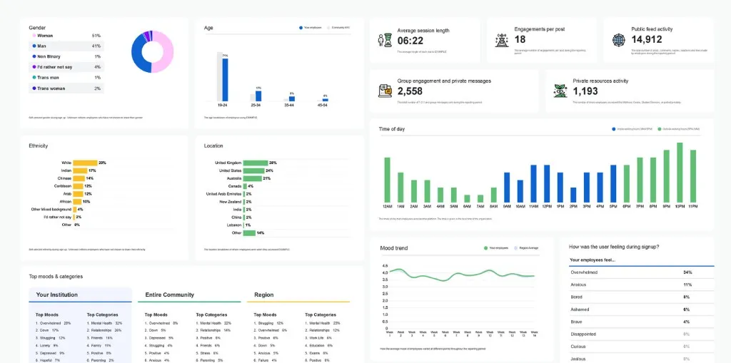TalkLife reporting dashboard showing demographics, engagement, mood trends and KPIs